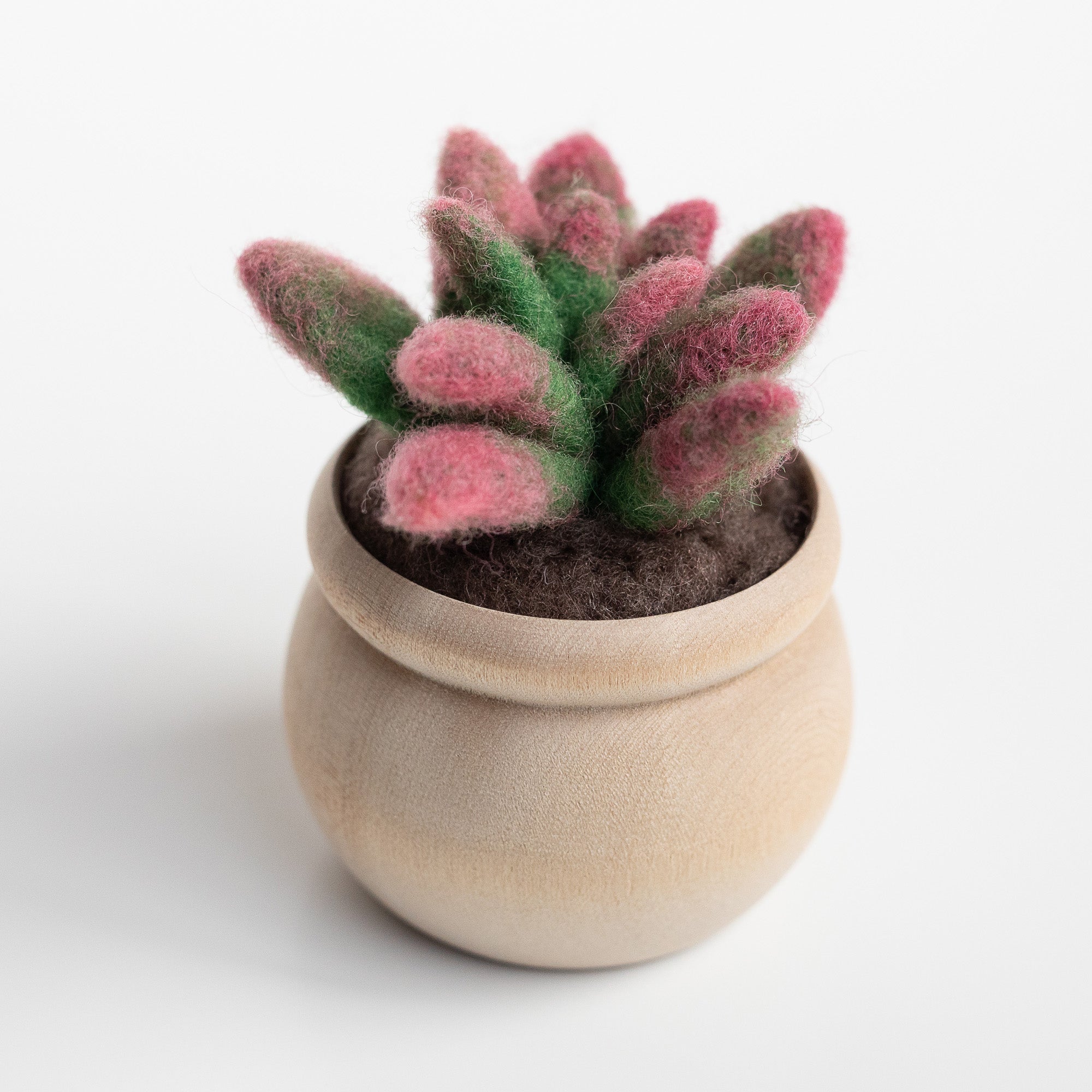 felt succulents Sunrise Succulent Mini Needle Felting Kit