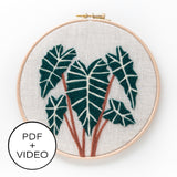 Alocasia Polly Digital Pattern