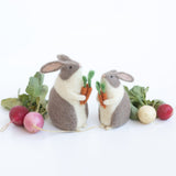 Bunnies & Carrots Needle Felting Kit
