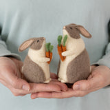 Bunnies & Carrots Needle Felting Kit