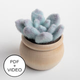 Ghost Plant Succulent Digital Pattern