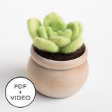 Lily Pad Succulent Digital Pattern