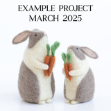 Needle Felting Joy Subscription - With Supply Box