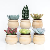 Succulents Digital Needle Felting Pattern Bundle