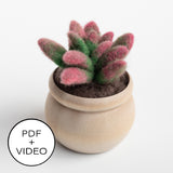 Sunrise Succulent Digital Pattern