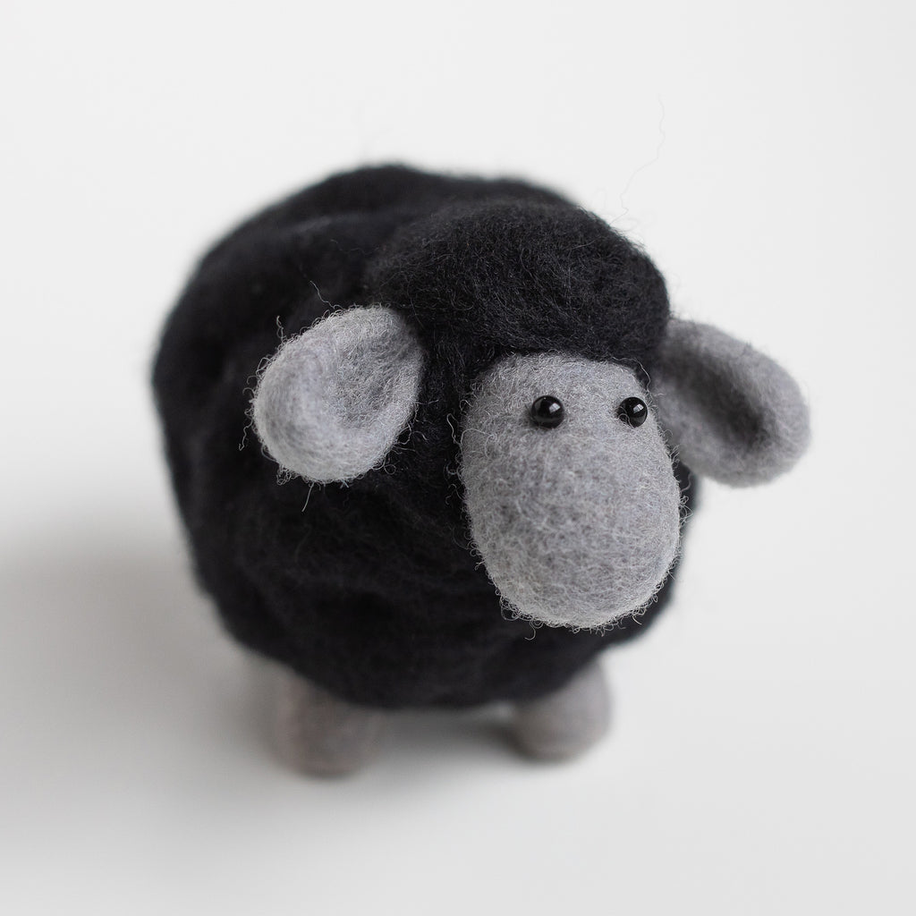 Black Sheep Mini Needle Felting Kit– Felted Sky