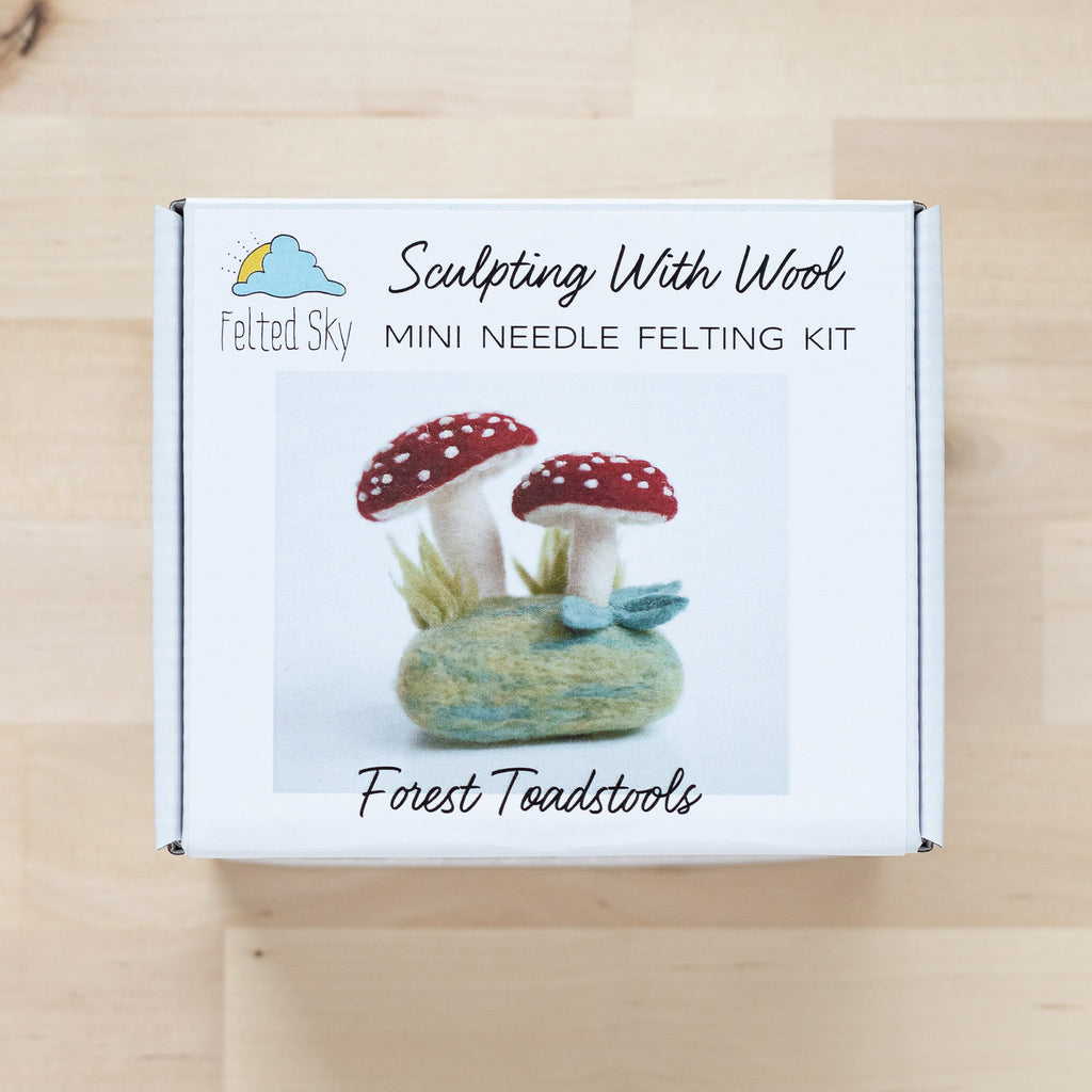 Felted Sky Sculpting with Wool Needle Felting Kit