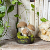 Needle Felting Through The Seasons Book (signed copy)