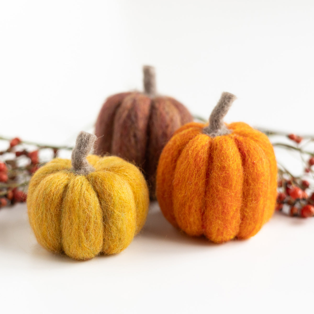 Pumpkin Trio Mini Needle Felting Kit– Felted Sky