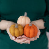 Pumpkin Trio Mini Needle Felting Kit