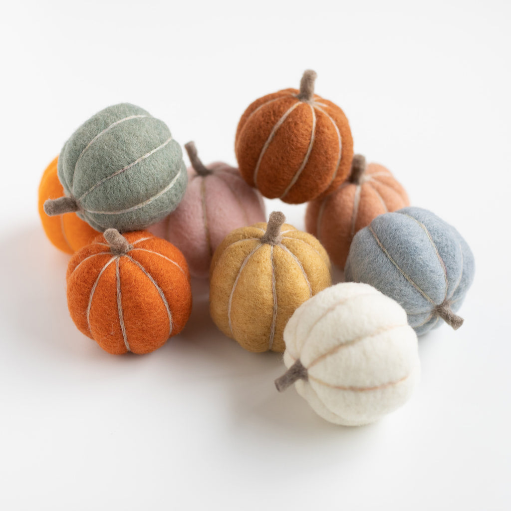 Wool Pumpkins Felting Kit - 12 Colors Autumn Goods Craft Kit - DIY Kit –  BureBure shoes and slippers