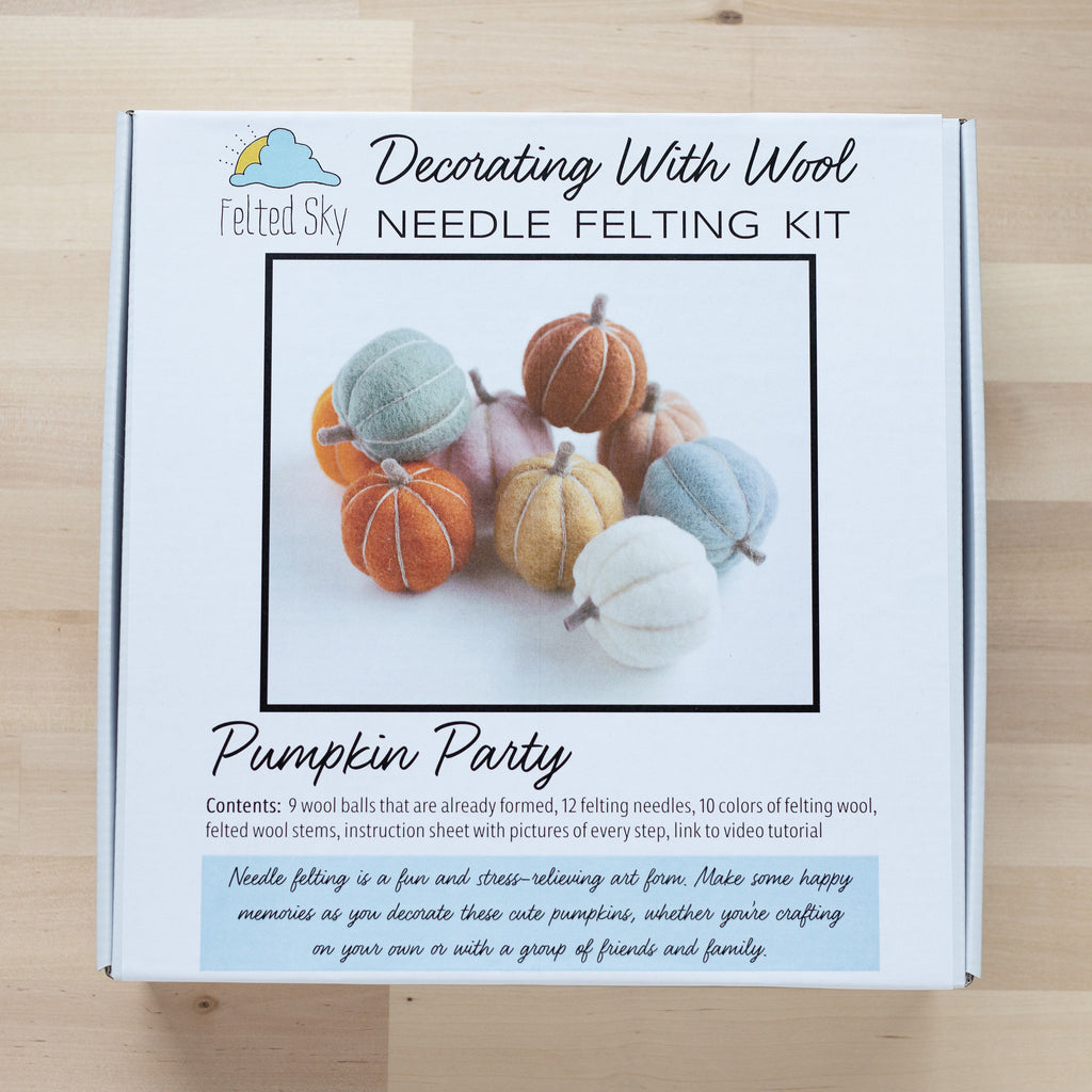 Pumpkin Needle Felting Kit (Beginner)