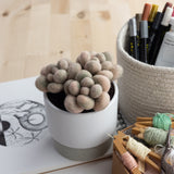 Needle Felting Through The Seasons Book (signed copy)