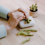 Wool Felting Kit