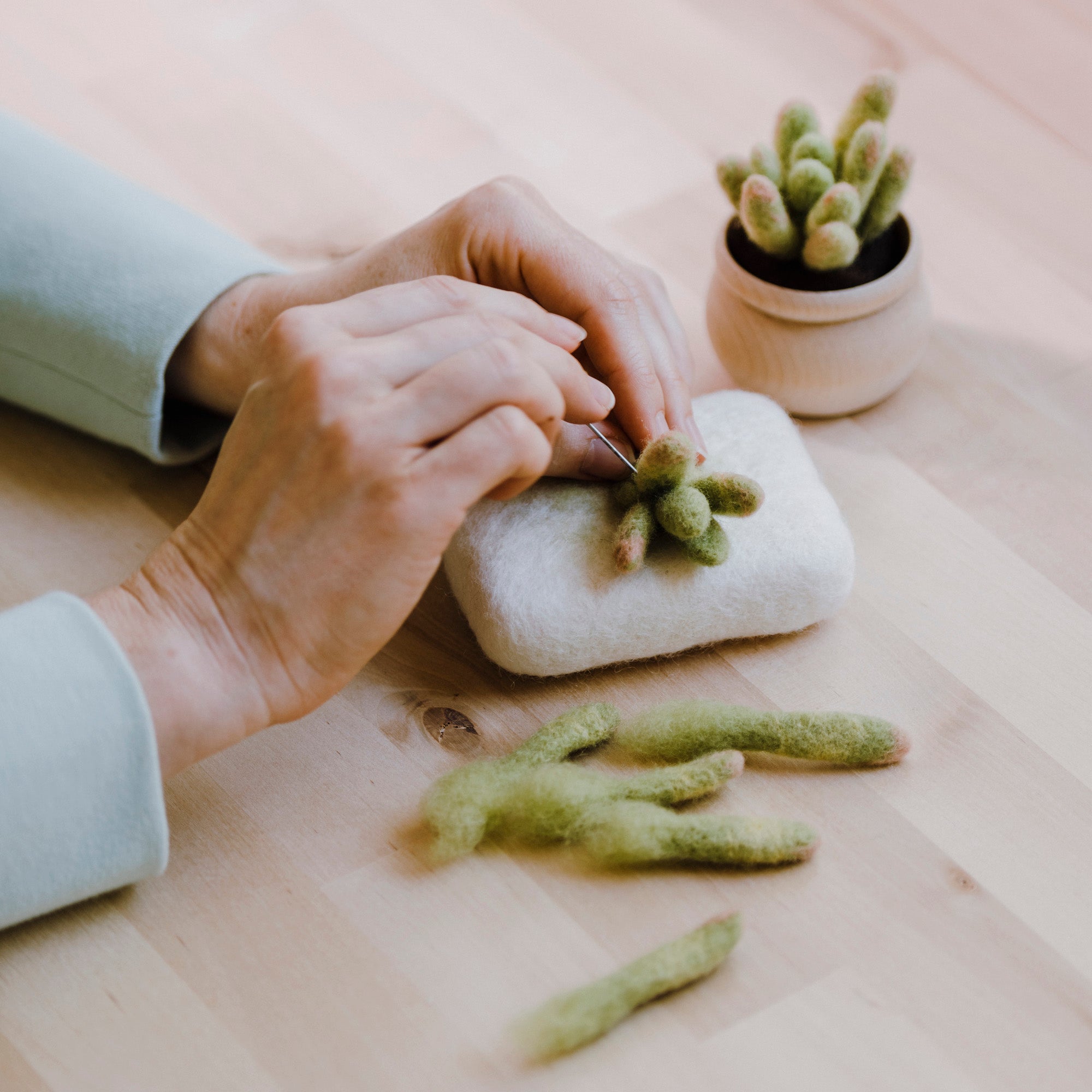 Wool Felting Kit