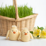 Chick Friends Mini Needle Felting Kit