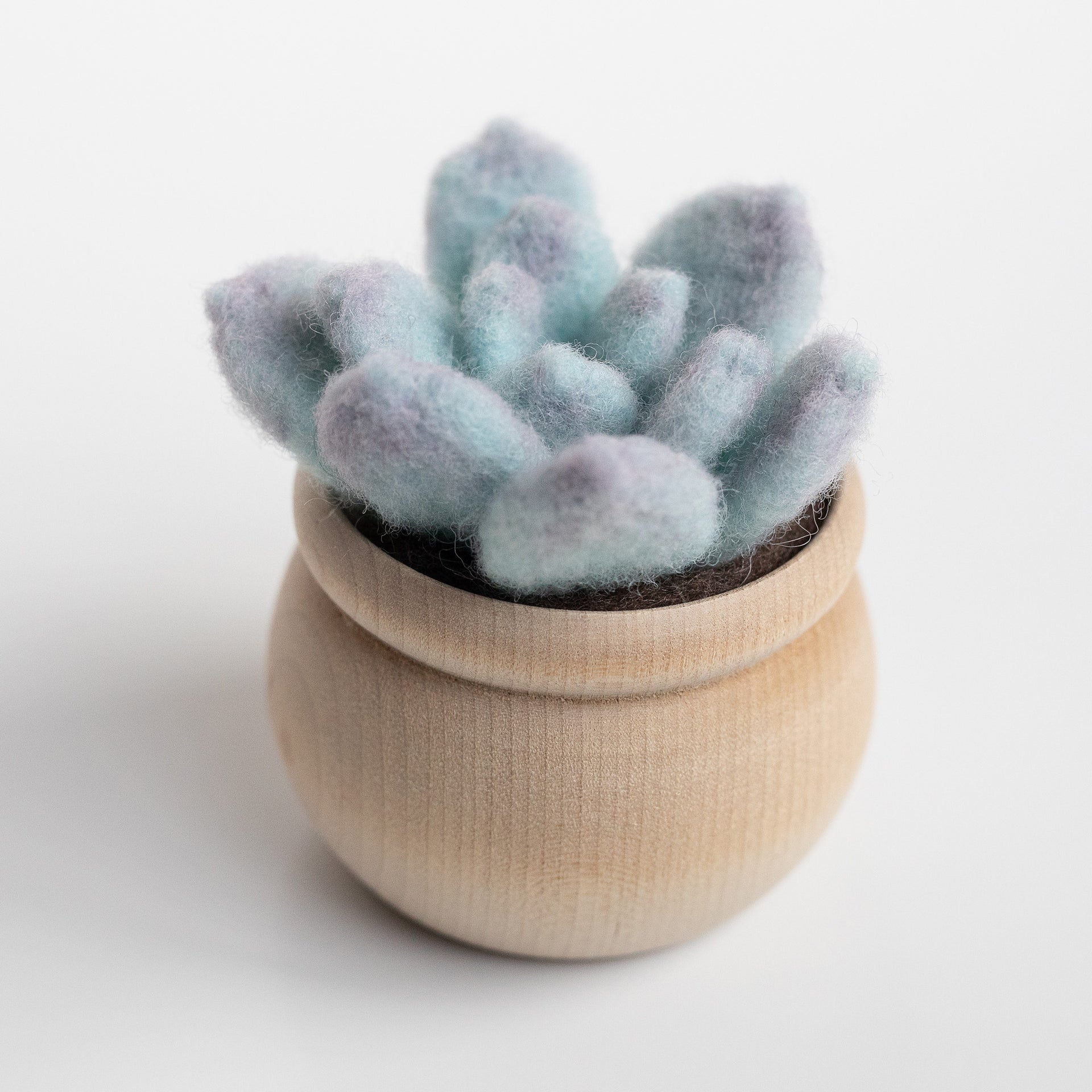 Ghost Plant Succulent Mini Needle Felting Kit