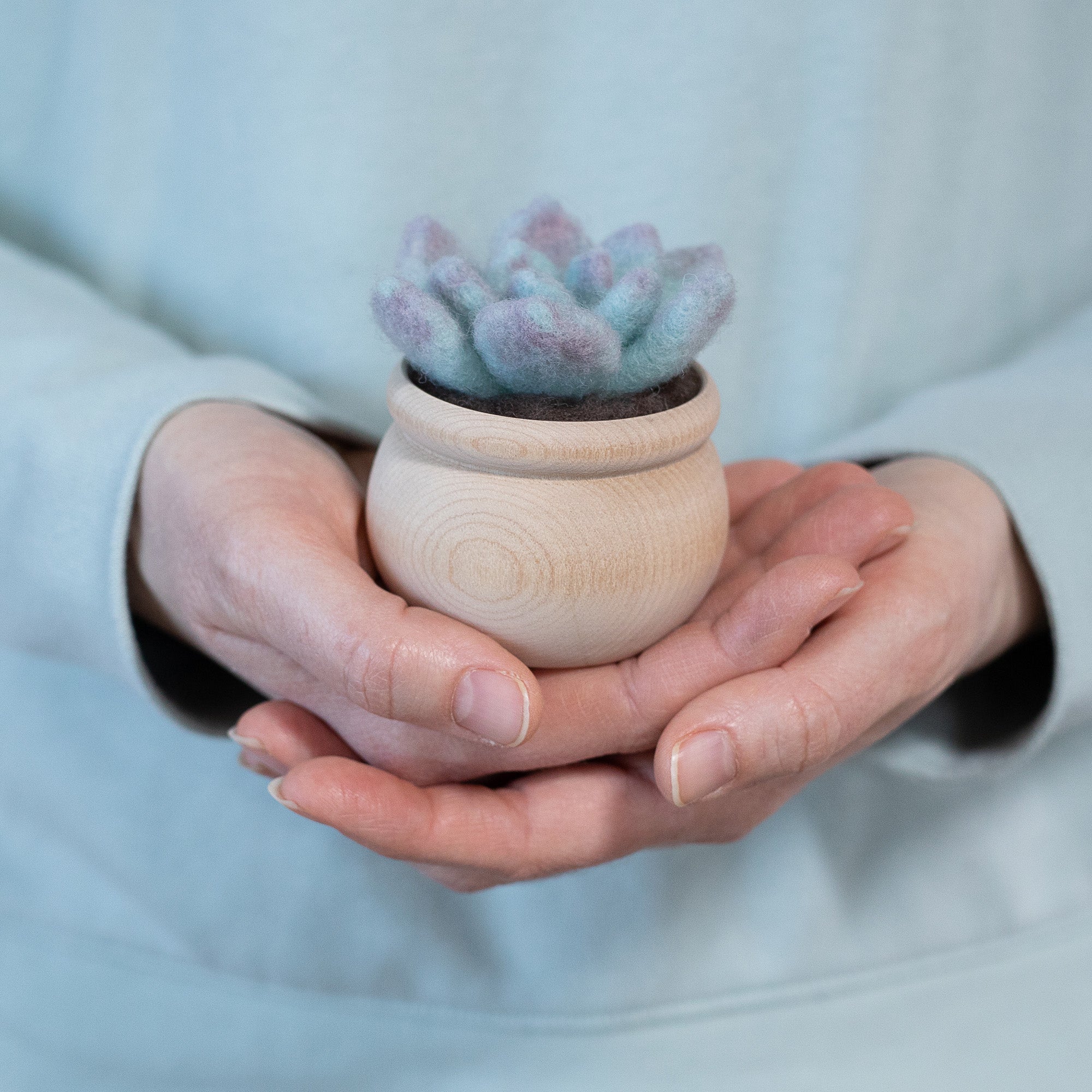 needle felt succulents Ghost Plant Succulent Mini Needle Felting Kit