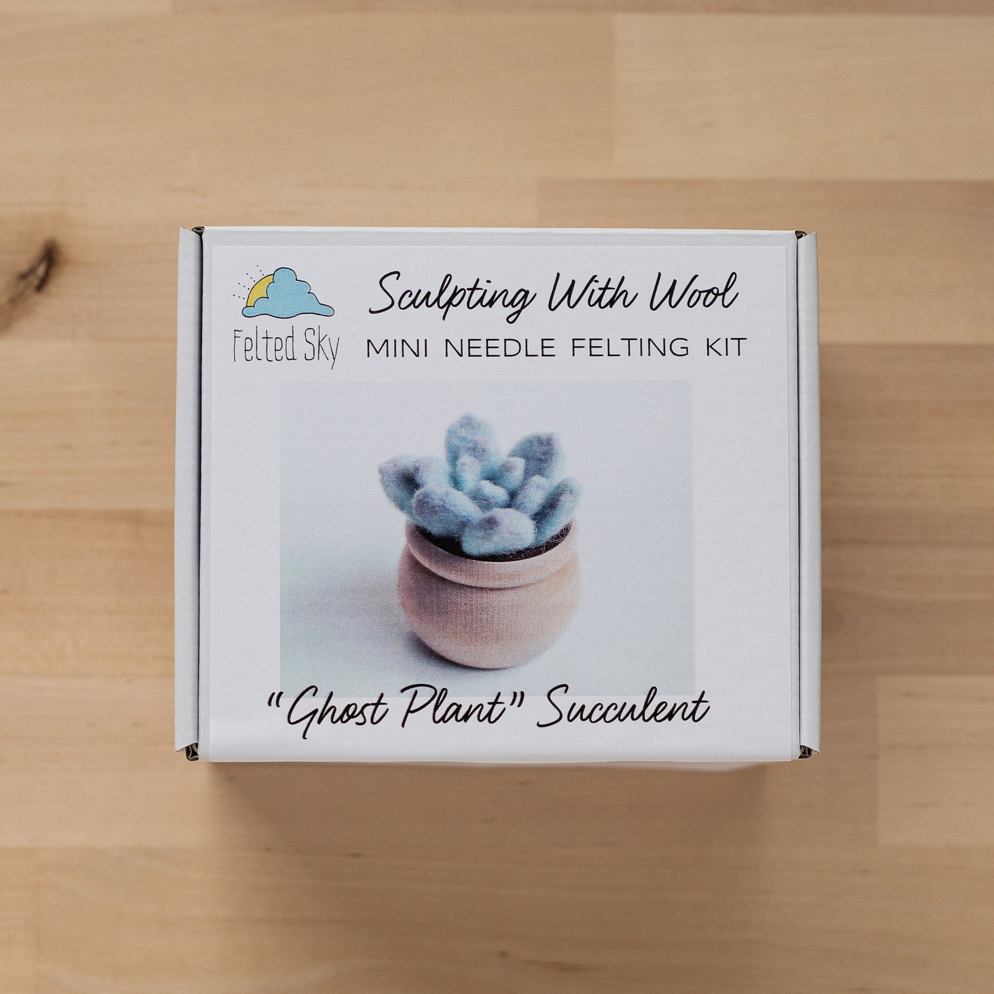 felted faux succulent plant sitters Ghost Plant Succulent Mini Needle Felting Kit