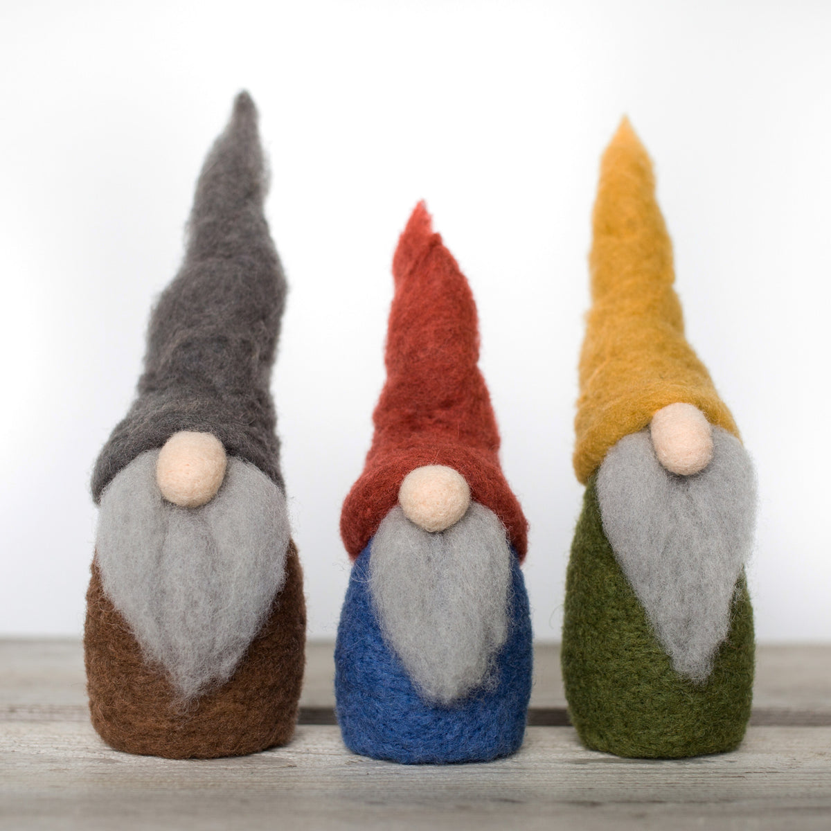 Gnome Family Needle Felting Kit - NSHF
