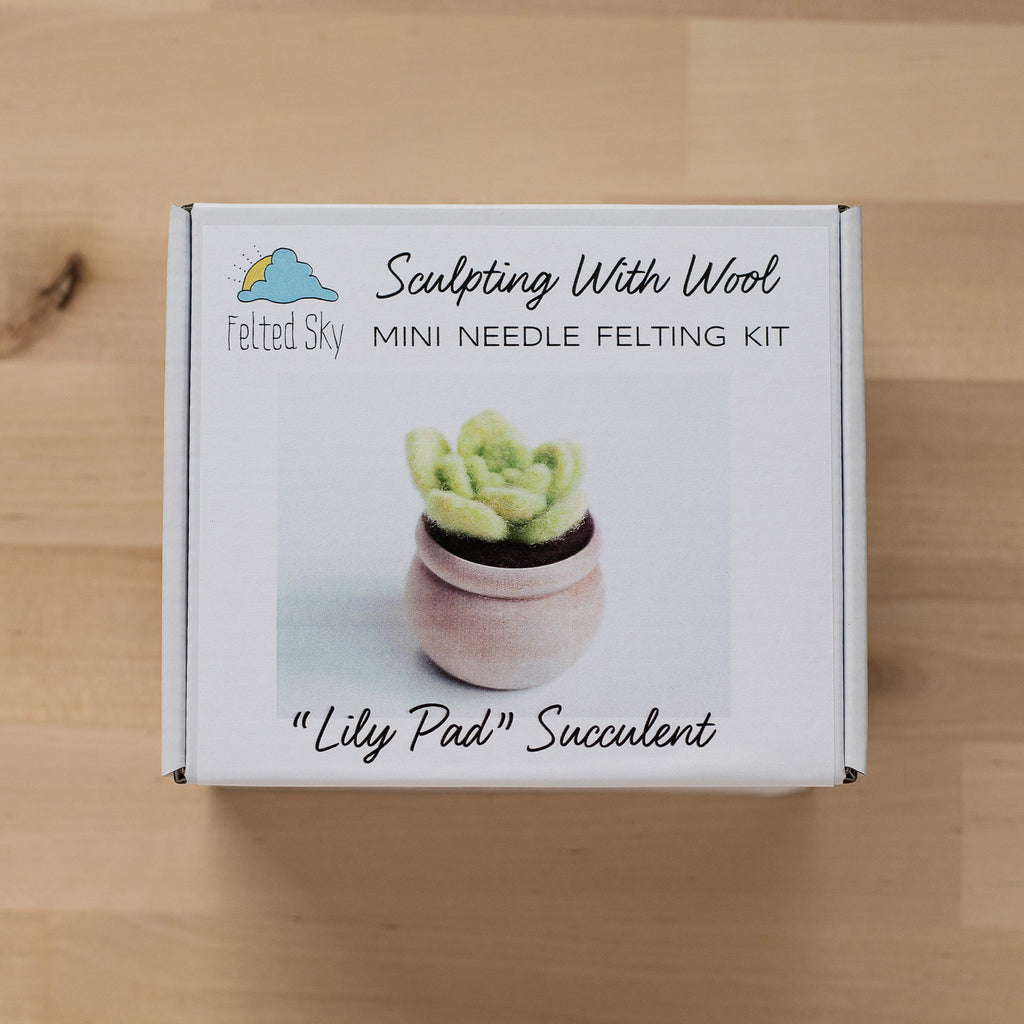 Felted Sky Lily Pad Succulent Mini Needle Felting Kit at New River Art &  Fiber