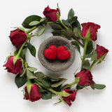 Love Nest Mini Needle Felting Kit