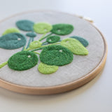 Money Plant Digital Pattern