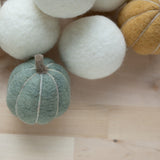 Pumpkin Blanks - 6 pack