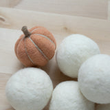 Pumpkin Blanks - 6 pack