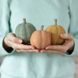 Pumpkin Blanks - 6 pack