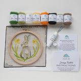 Spring Rabbit Needle Felting Kit