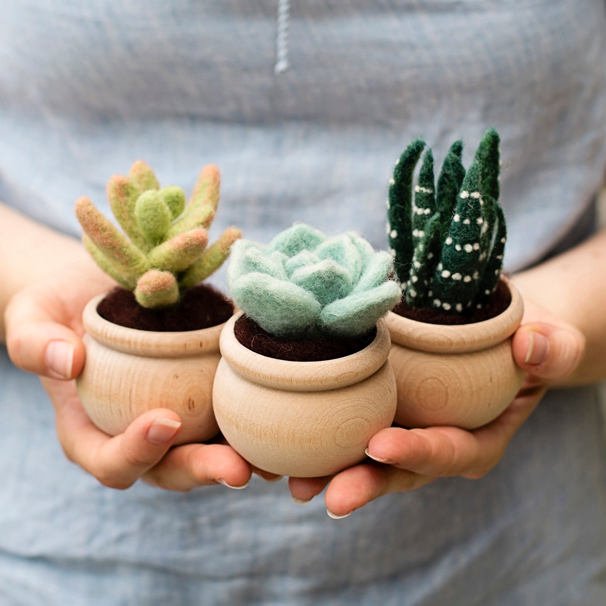 felt pots for plants Extra Pots - Set of 3