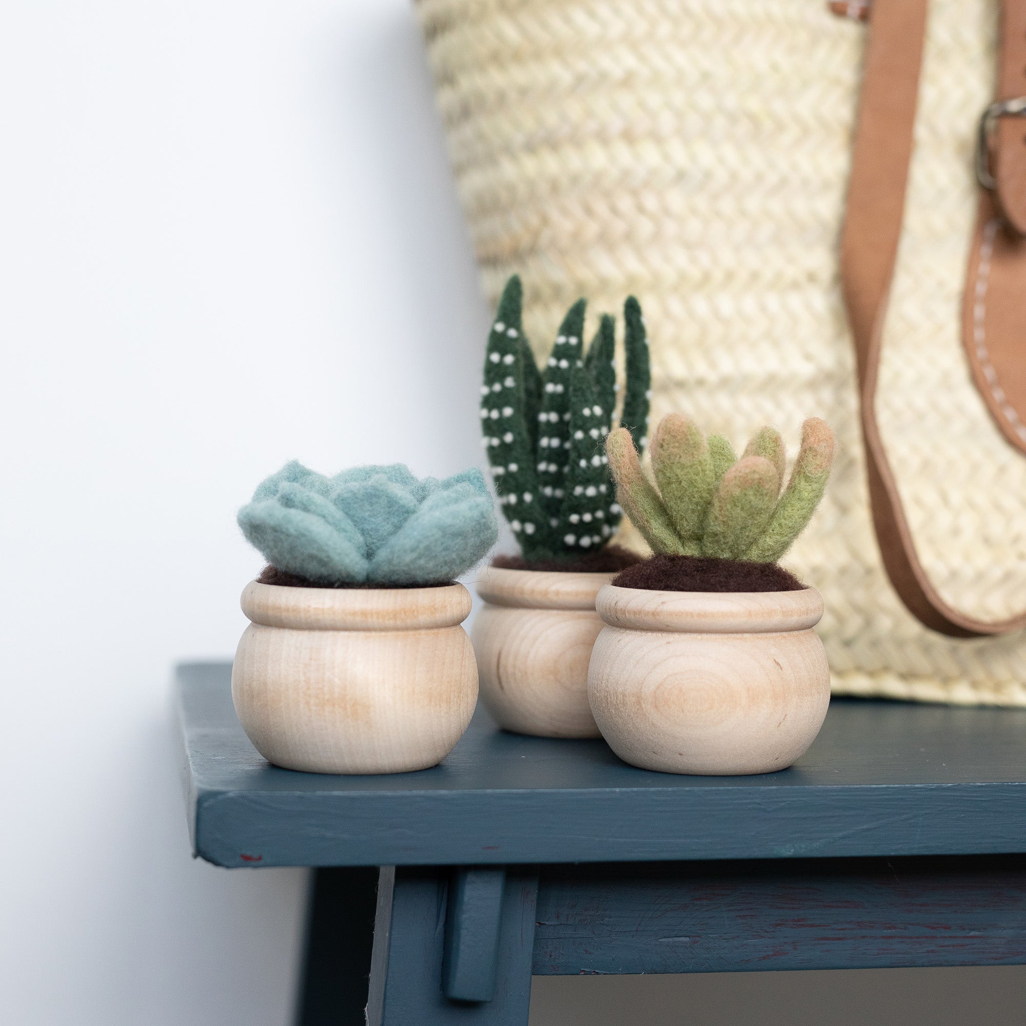 felt succulent craft kit Succulents Needle Felting Kit