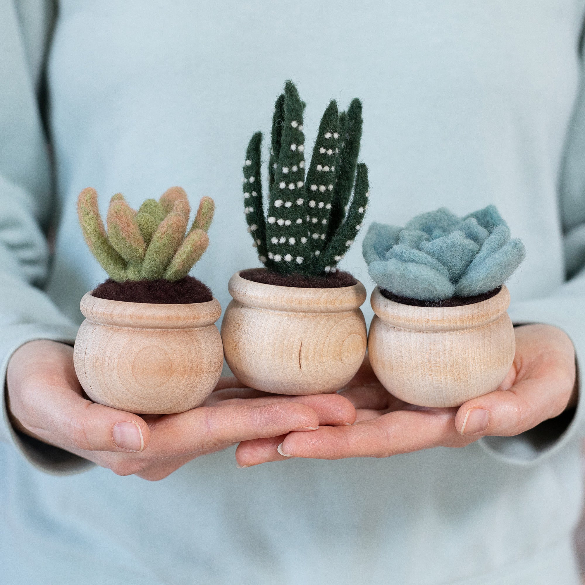 felt succulent craft kit Succulents Needle Felting Kit