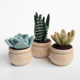 Succulents Needle Felting Kit