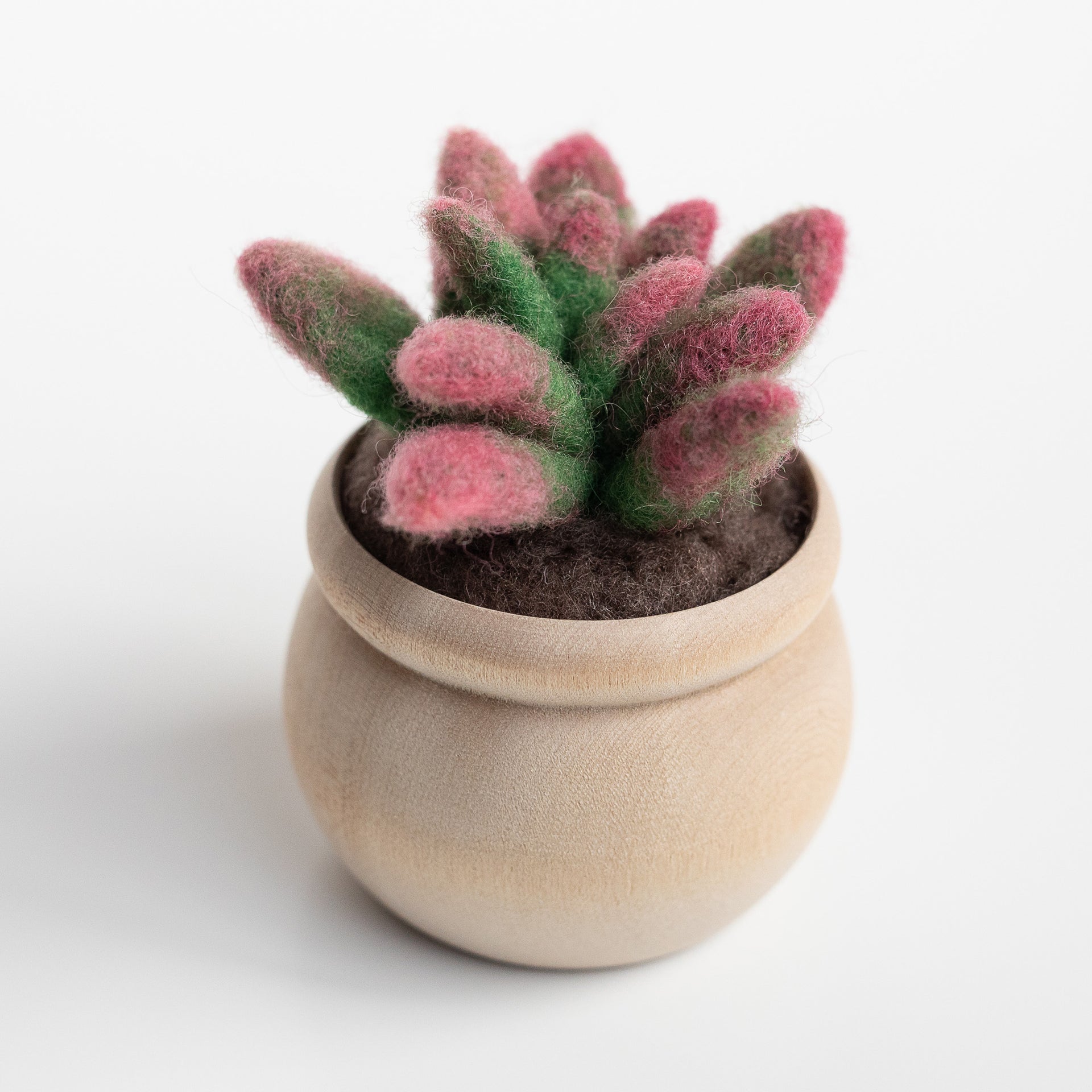 mini maker felt succulent kit instructions Sunrise Succulent Mini Needle Felting Kit