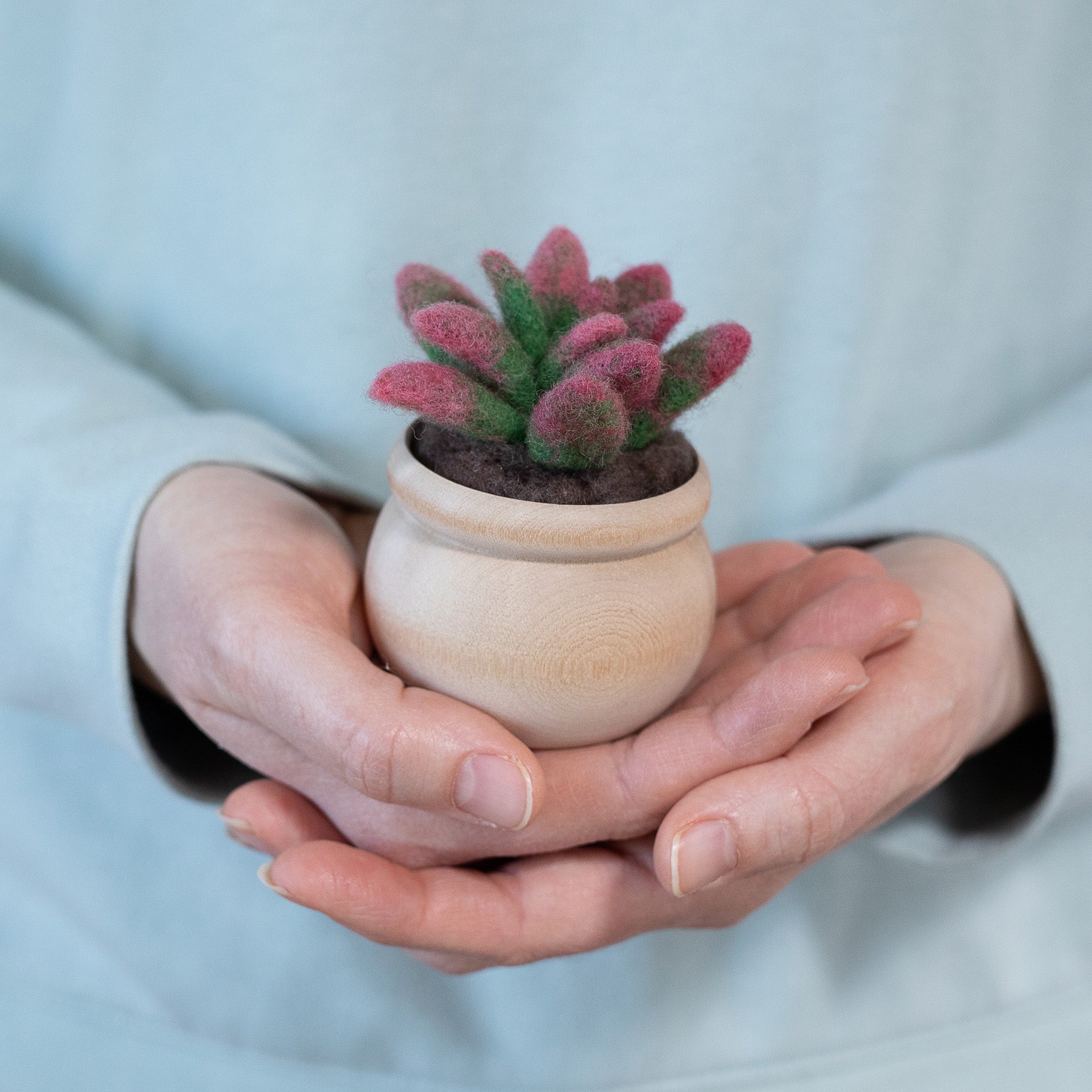 needle felted succulents Sunrise Succulent Mini Needle Felting Kit